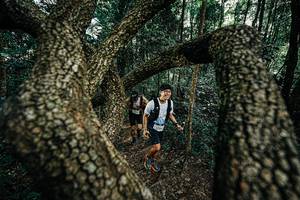 BIB: 
                            <button type="button" onclick="openModal(25392738)" class="btn btn-primary btn-sm float-right btn-popup" data-toggle="modal" data-target=".modal-high-quality">
                        <i class="fas fa-shopping-cart"></i> Add to Cart
                    </button>
                                            <button type="button" onclick="isThisMe(25392738, true)" class="btn btn-success btn-sm float-right btn-popup btn-isme hidden" data-toggle="tooltip" data-placement="bottom" title="นี่คือรูปของคุณใช่ไหม คลิกที่นี่เพื่อเอาเข้าอัลบั้ม">
                        <i class="fas fa-plus"></i> Add to album
                    </button>
                    <button type="button" onclick="isThisMe(25392738, false)" class="btn btn-warning btn-sm float-right btn-popup btn-isnotme hidden">
                        <i class="fas fa-ban"></i> Remove from album
                    </button>